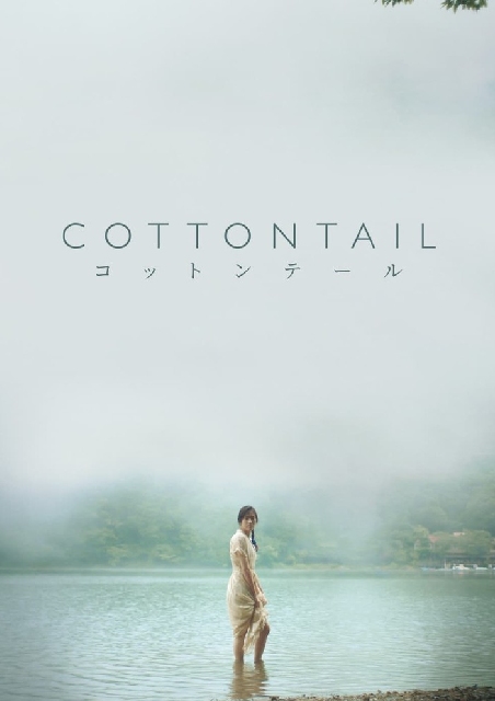 Cottontail (コットンテール) 